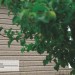 Сайдинг Ю-Пласт TIMBERBLOCK Пихта (Тимберблок) Cахалинская купить в Алапаевске
